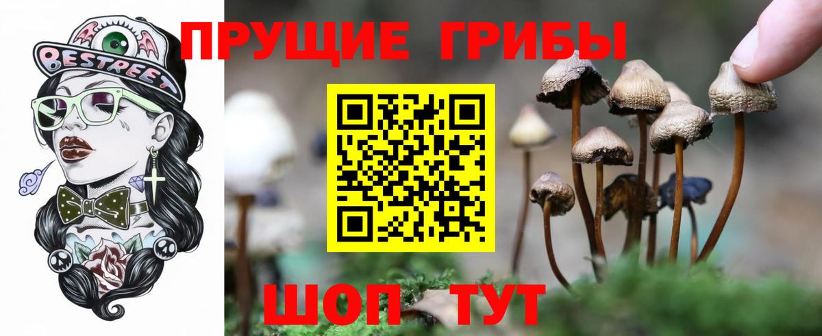 Крымск  Вход с VPN  Каннабис  Мефедрон кристаллы  ГЕРОИН  ГАШИШ  LSD-25  Кокаин  Вейп ТГК 